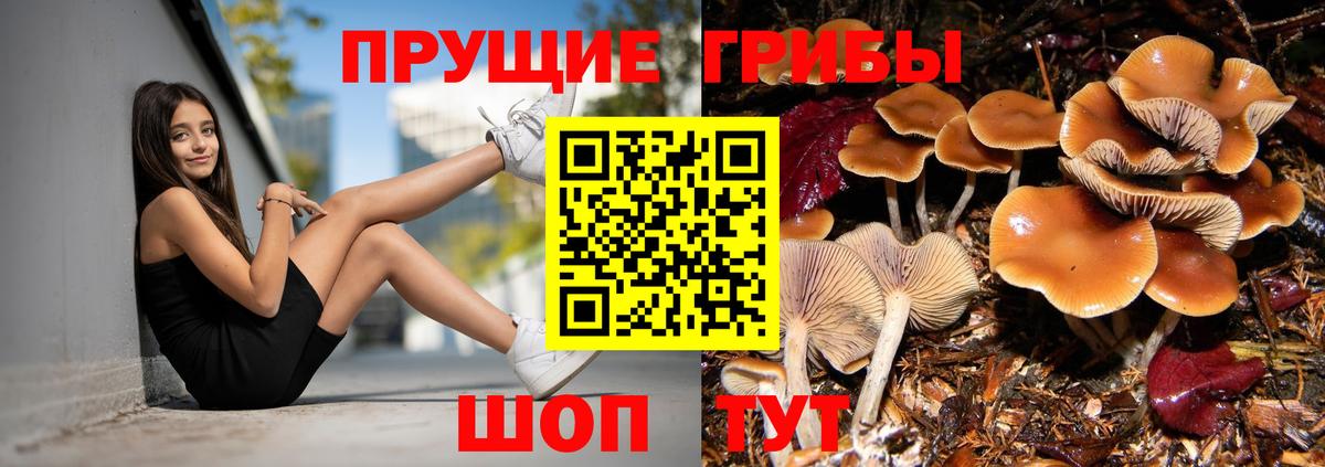 Клинцы  Псилоцибиновые грибы прущие грибы  Галлюциногенные грибы мицелий  Вход с VPN 